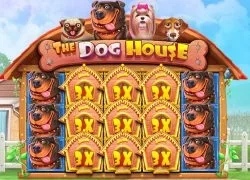 Grosvenor Casino casino GB The Dog House